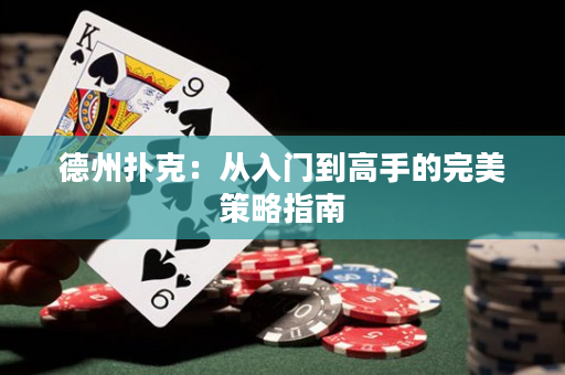 德州撲克：從入門到高手的完美策略指南