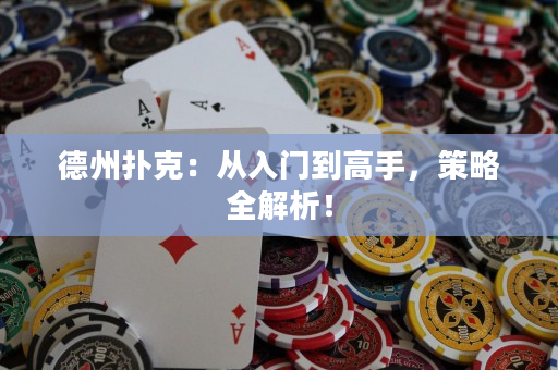 德州撲克：從入門到高手，策略全解析！