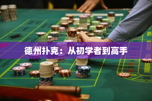 德州撲克:從初學者到高手 德州撲克:從初學者到高手