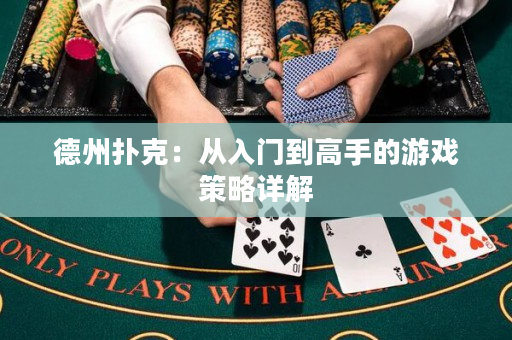 德州撲克：從入門到高手的游戲策略詳解