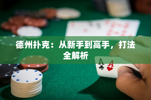 德州撲克：從新手到高手，打法全解析