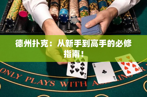 德州撲克：從新手到高手的必修指南！