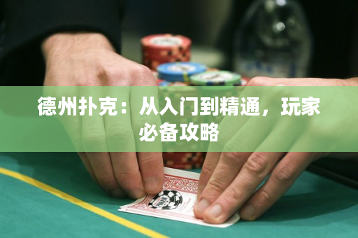 德州撲克：從入門到精通，玩家必備攻略