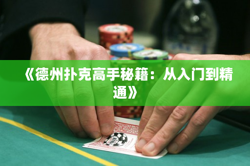 《德州撲克高手秘籍：從入門到精通》