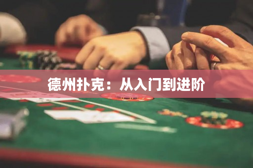 德州撲克：從入門(mén)到進(jìn)階