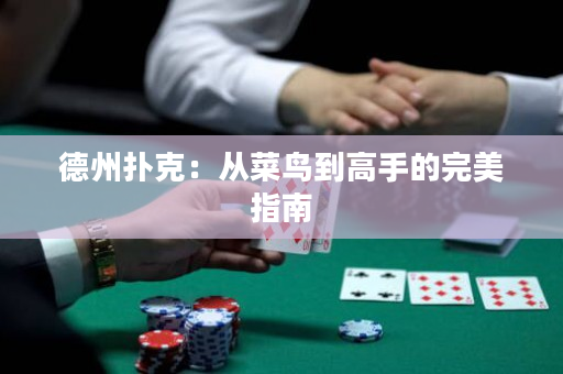 德州撲克：從菜鳥到高手的完美指南