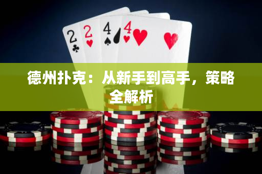 德州撲克：從新手到高手，策略全解析