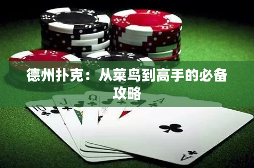 德州撲克：從菜鳥到高手的必備攻略