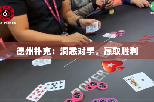 德州撲克：洞悉對手，贏取勝利