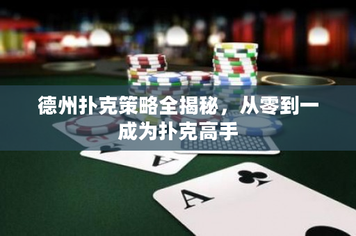 德州撲克策略全揭秘，從零到一成為撲克高手