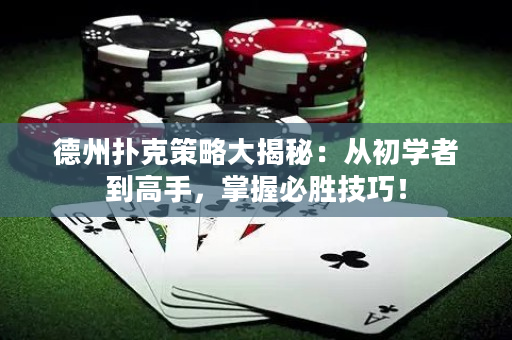 德州撲克策略大揭秘：從初學者到高手，掌握必勝技巧！