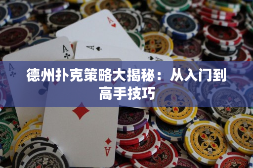 德州撲克策略大揭秘：從入門到高手技巧