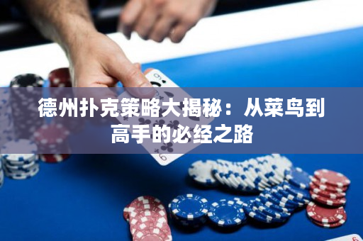 德州撲克策略大揭秘：從菜鳥到高手的必經之路