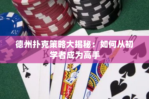 德州撲克策略大揭秘：如何從初學者成為高手