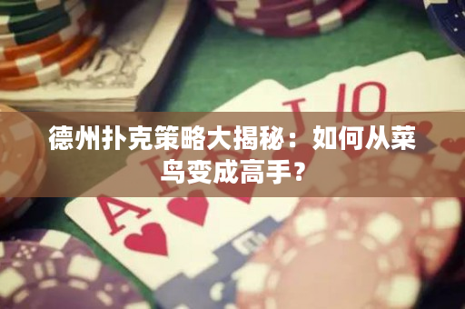 德州撲克策略大揭秘：如何從菜鳥變成高手？