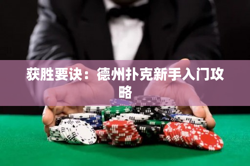 獲勝要訣：德州撲克新手入門攻略