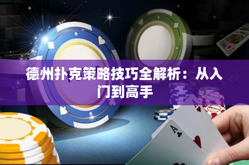 德州撲克策略技巧全解析：從入門(mén)到高手