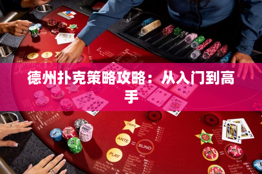 德州撲克策略攻略：從入門到高手