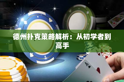 德州撲克策略解析：從初學者到高手