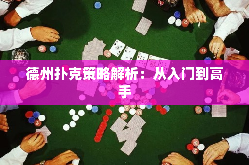 德州撲克策略解析：從入門到高手