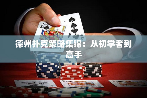 德州撲克策略集錦：從初學者到高手