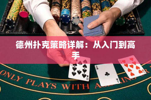 德州撲克策略詳解：從入門到高手
