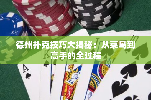 德州撲克技巧大揭秘：從菜鳥到高手的全過程