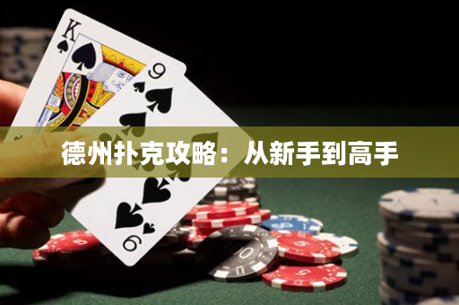 德州撲克攻略：從新手到高手