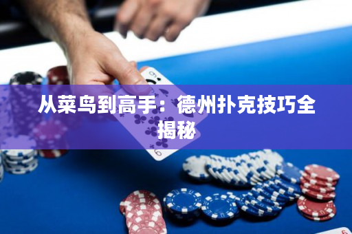 從菜鳥到高手：德州撲克技巧全揭秘