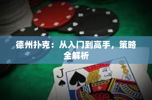 德州撲克：從入門到高手，策略全解析
