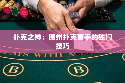 撲克之神：德州撲克高手的獨門技巧