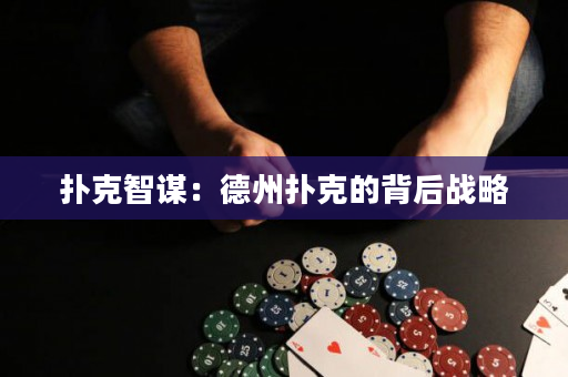 撲克智謀：德州撲克的背后戰略