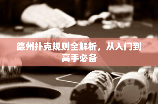 德州撲克規則全解析，從入門到高手必備