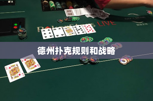 德州撲克規則和戰略
