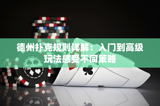 德州撲克規則詳解：入門到高級玩法感受不同策略