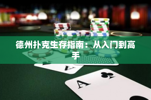 德州撲克生存指南：從入門到高手