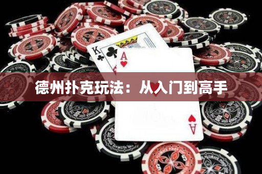 德州撲克玩法：從入門到高手