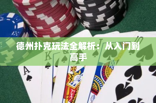 德州撲克玩法全解析：從入門到高手