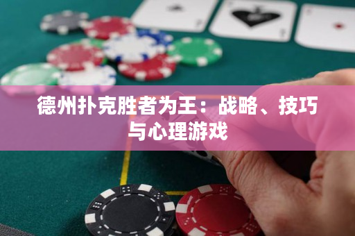 德州撲克勝者為王：戰(zhàn)略、技巧與心理游戲