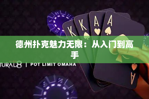 德州撲克魅力無限：從入門到高手