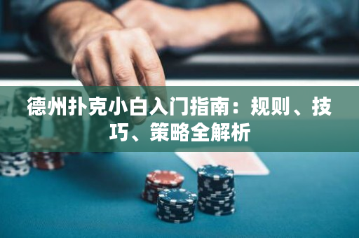 德州撲克小白入門指南：規則、技巧、策略全解析