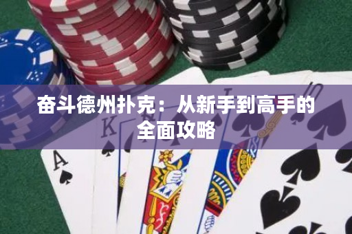 奮斗德州撲克：從新手到高手的全面攻略