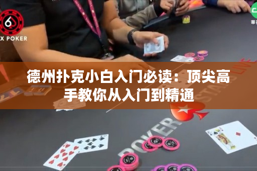 德州撲克小白入門必讀：頂尖高手教你從入門到精通