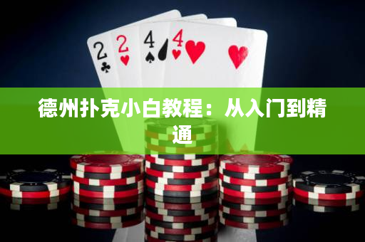 德州撲克小白教程：從入門到精通