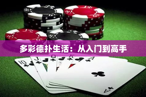 多彩德?lián)渖睿簭娜腴T到高手