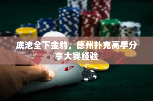 底池全下金豹，德州撲克高手分享大賽經(jīng)驗