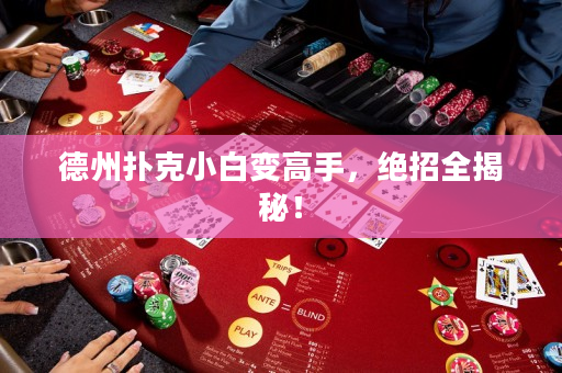 德州撲克小白變高手，絕招全揭秘！
