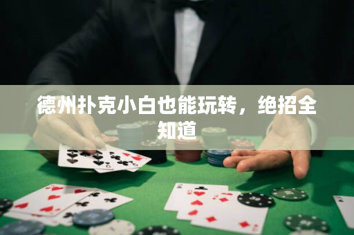 德州撲克小白也能玩轉，絕招全知道