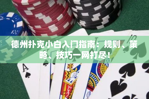 德州撲克小白入門指南：規則、策略、技巧一網打盡！