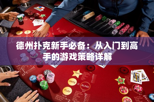 德州撲克新手必備：從入門到高手的游戲策略詳解